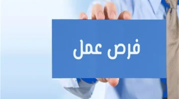 وظائف وزارة الإسكان والمرافق الحكومية: الشروط والأوراق الأساسية للتقديم